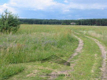 Działka Sprzedaż Witnica