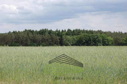 Działka Sprzedaż Stanowice