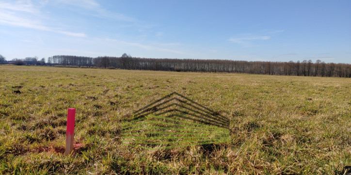 Działka Sprzedaż Bolemin 3