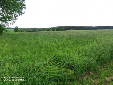 Działka Sprzedaż Świniary