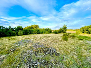 Działka Sprzedaż Gorzów Wielkopolski Zieleniec