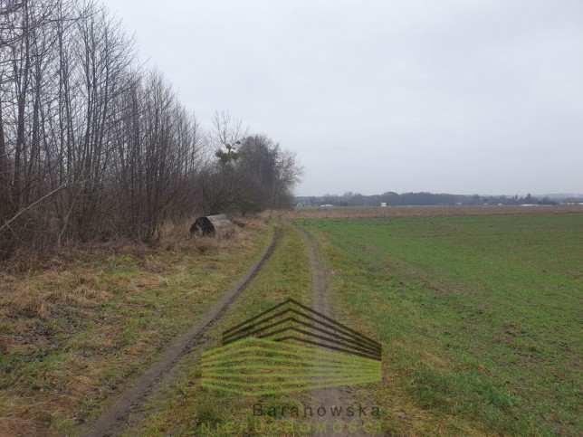 Działka Sprzedaż Gorzów Wielkopolski Zieleniec 3