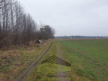 Działka Sprzedaż Gorzów Wielkopolski Zieleniec