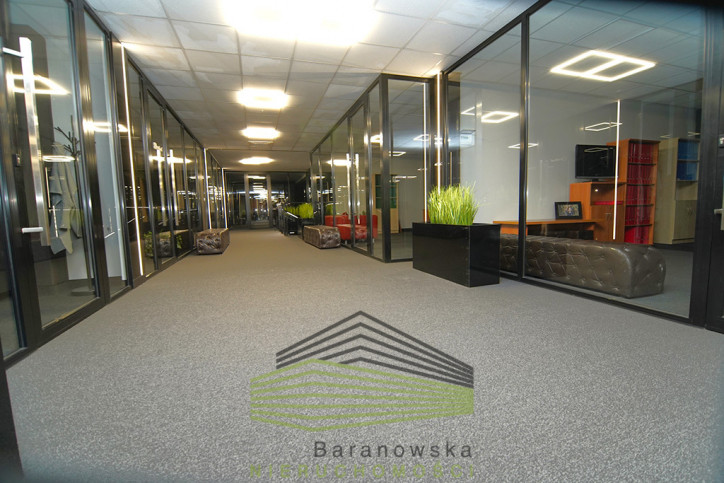 Lokal Wynajem Gorzów Wielkopolski Zakanale 3