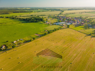 Działka Sprzedaż Świniary