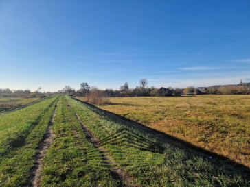 Działka Sprzedaż Gorzów Wielkopolski Wieprzyce