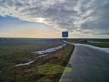 Działka Sprzedaż Janczewo