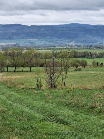 Działka Sprzedaż Jaworek 5