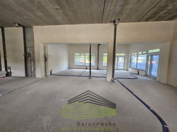 Lokal Wynajem Gorzów Wielkopolski Śródmieście