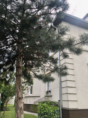 Mieszkanie Sprzedaż Gorzów Wielkopolski os. Piaski 3
