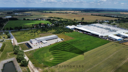 Działka Sprzedaż Gorzów Wielkopolski Chróścik