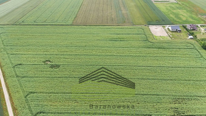 Działka Sprzedaż Gralewo