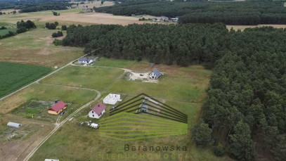 Działka Sprzedaż Murzynowo