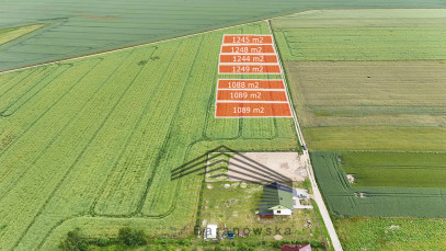 Działka Sprzedaż Gralewo