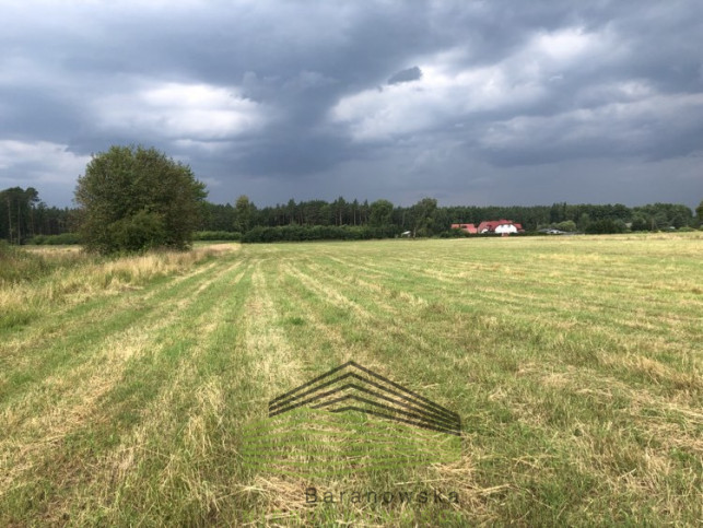 Działka Sprzedaż Danków 6