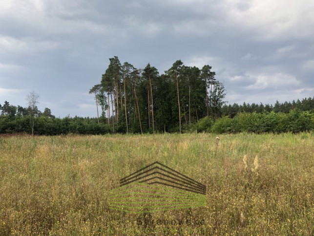 Działka Sprzedaż Danków 7