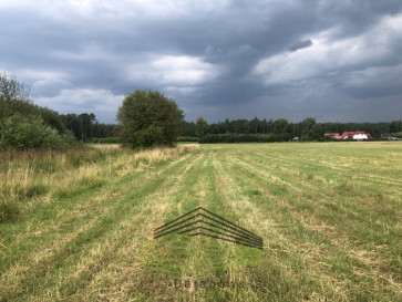 Działka Sprzedaż Danków