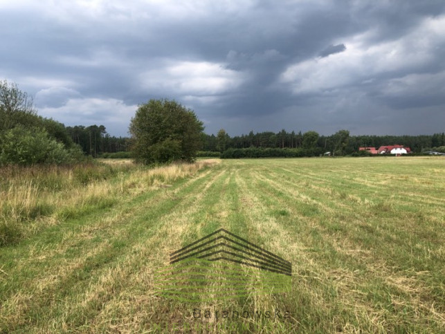 Działka Sprzedaż Danków 8